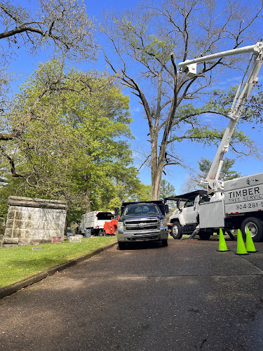 Timber Pro Tree Services LLC