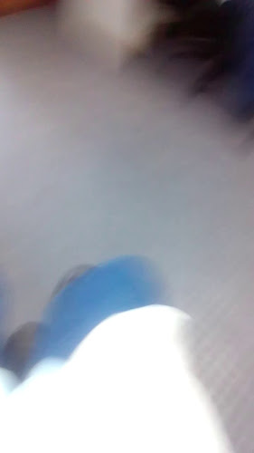 Colegio Concordia Universal - Escuela