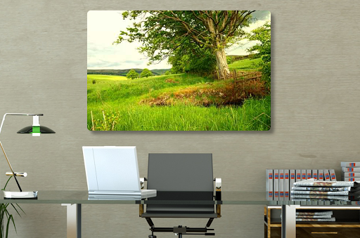 Canvas and Metal Prints