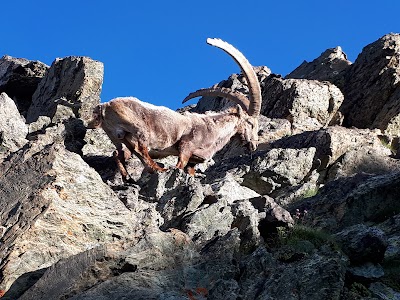 Parco Naturale del Monviso