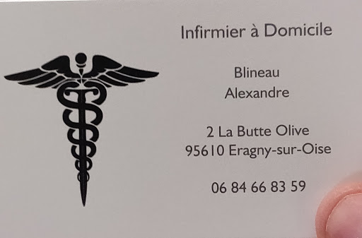 ALEXANDRE BLINEAU