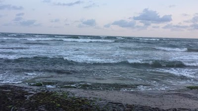 Photos of Last Hour Beach