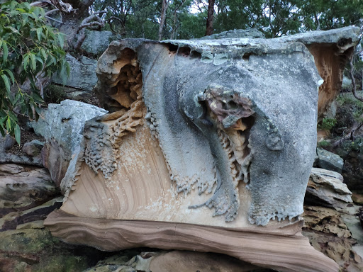 Wellings Reserve - Thumbnail