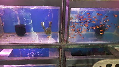 Photos of Saman Aquarium
