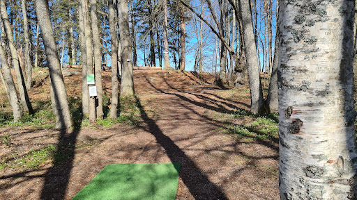 Tidaholms Discgolf - Thumbnail