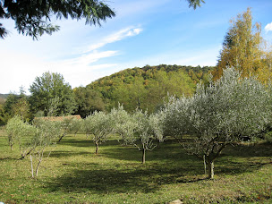 Photo n°11 de MOULIN DE LA PASSERE à Eus (Gîte)