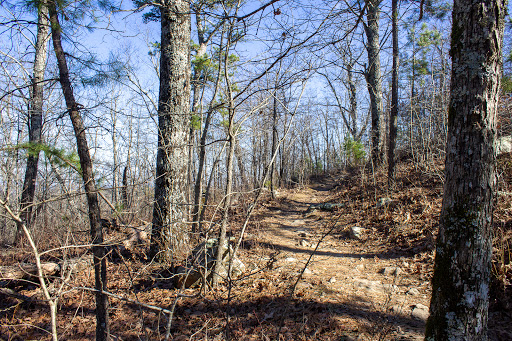 Flatside Pinnacle - Thumbnail
