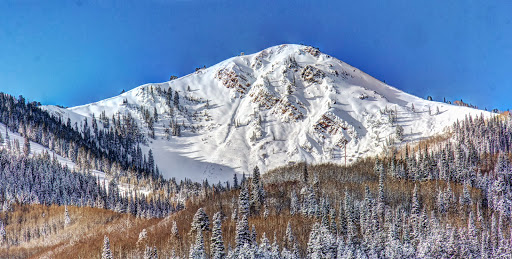 Alpine Ski Properties - Visual
