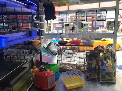 Batu Pet Shop, Kırıkkale Pet Shop