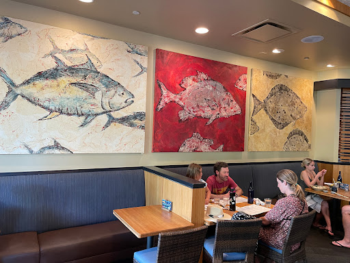 Pacific Catch - Visual