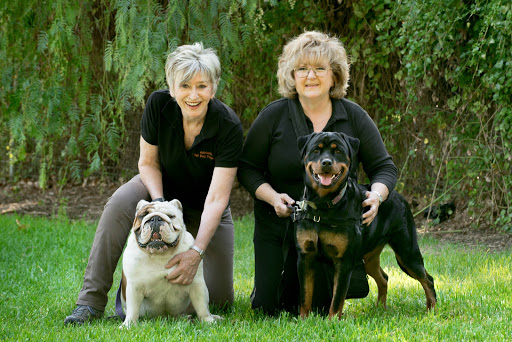Stephen Terrace Veterinary Clinic Gallery - Australia