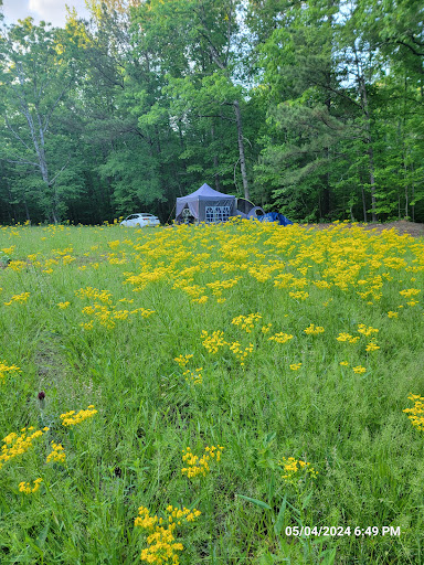 Hidden Branch Campground - Thumbnail