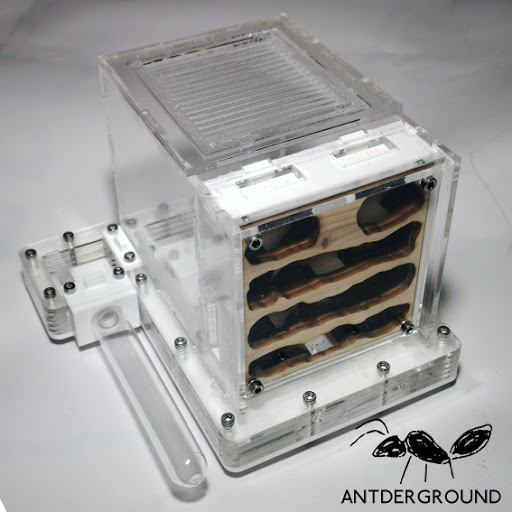 Antderground - Thumbnail