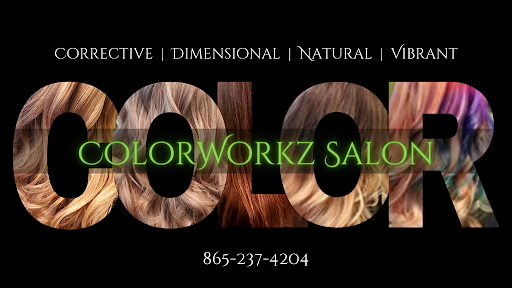 ColorWorkz Hair + Healing