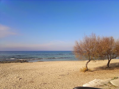 Photos of Hotel Le Conchiglie