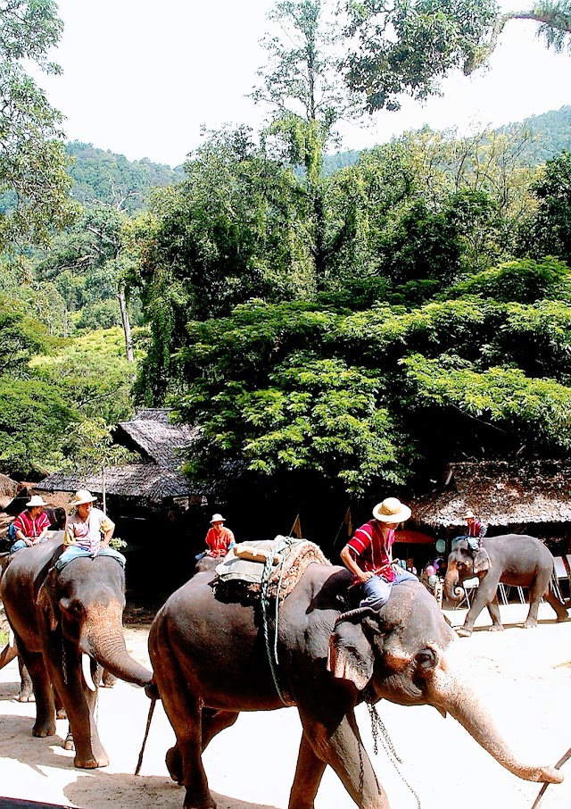 Chiang Mai Old City