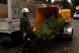 Photo n°3 de L'Arbre Et La Manière à La Garde-Adhémar (Service d'élagage)
