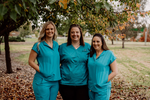 Albury Wodonga Midwifery Services - Thumbnail