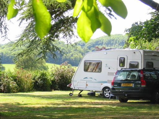 Forest Gate Camping - Visual