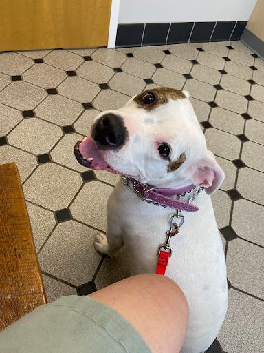 Faircrest Veterinary Care - Thumbnail