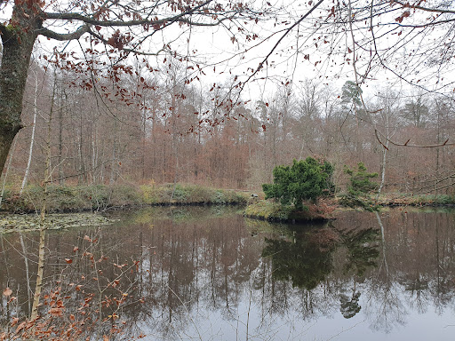 Franzoseneck - Visual