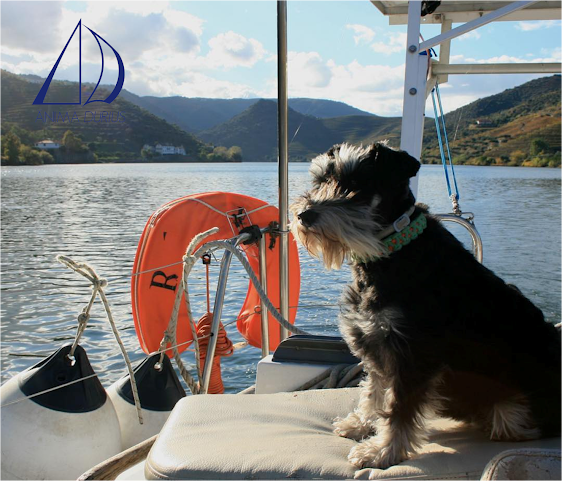 Ânima Durius by null