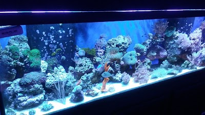 Crystal Reef Aquariums