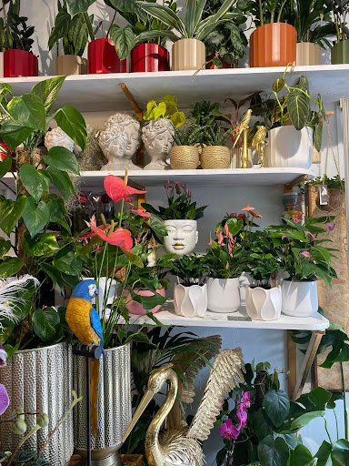 Florista A Giesta Gallery - Spain