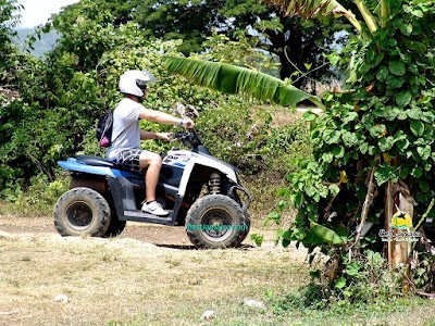 Photos of Best Jamaica Shore Excursions