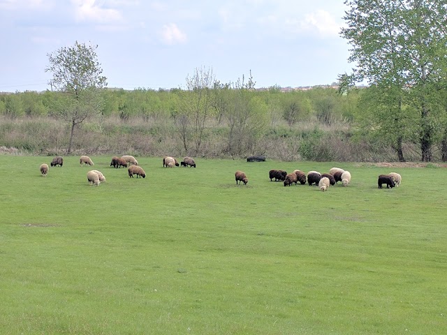 Parc national Hortobágyi