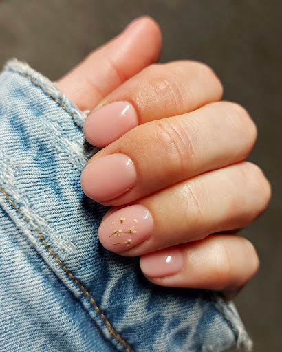 Studio piękności Lotos N