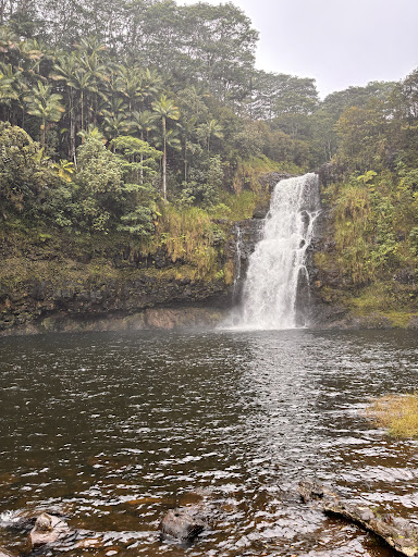 Wasabi Tours Hawaii - Thumbnail