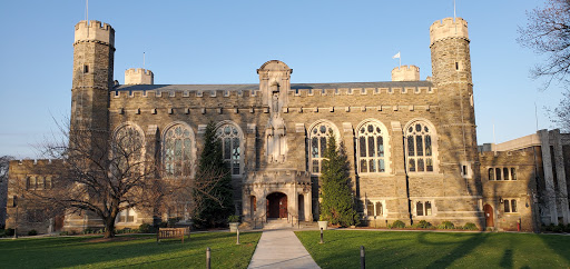 Old Library - Visual
