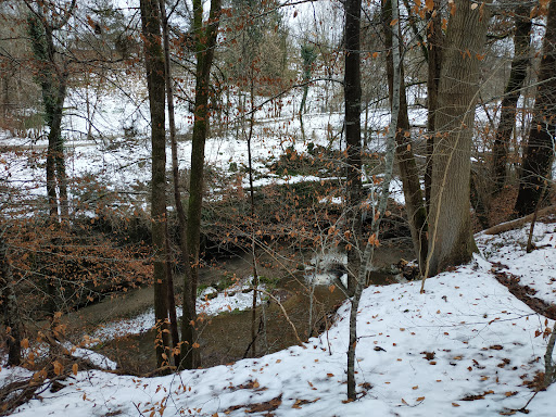Ramsee - Thumbnail