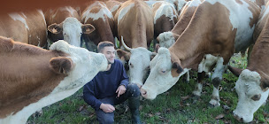 Photo n°2 de La ferme du Feuil à Maen Roch (Ferme bio)