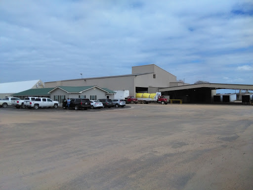 BCT Gin Co - Visual