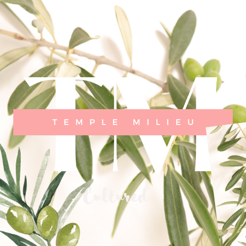 Temple Milieu - Visual