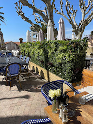 Photo n°8 de Atmosphere Green à Carros (Magasin de plantes artificielles)