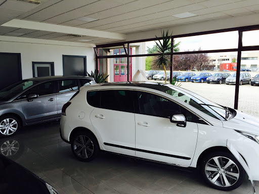 Zacchia Srl - Concessionaria Centro Auto Srl - Thumbnail