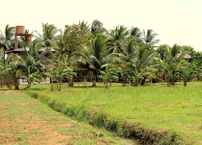 Photos of Lake View Cottage