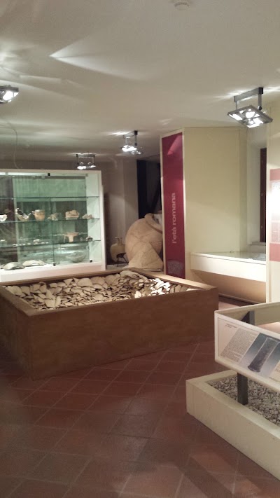 Photos of Royal Museum of Cattolica