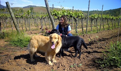 Photos of Attilio & Mochi, passionate winemakers / Vina Tunquen Limitada