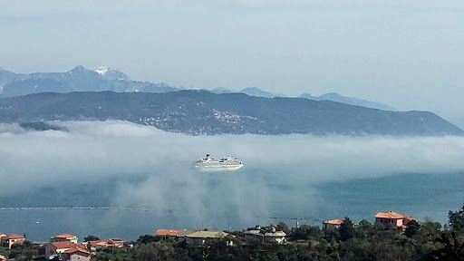 Litoranea - Visual