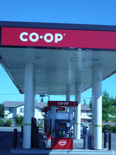 Peninsula Co-op Gas & Convenience Centre - Aspen - Thumbnail