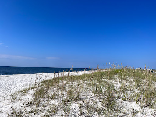 Johnson Beach National Seashore - Thumbnail