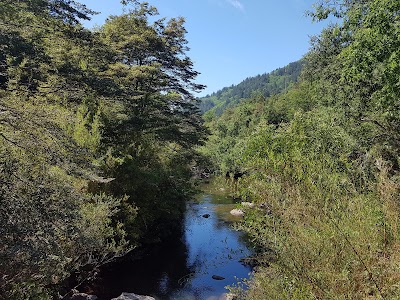 Photos of Reserva Nacional Los Ruiles