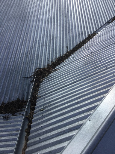 Premium window and Gutter cleaning - Thumbnail