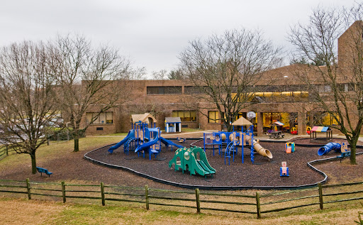 Temple Trager ECEC - Visual