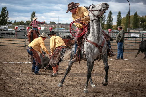 Swift Current Agricultural and Exhibition Association Gallery - Canada