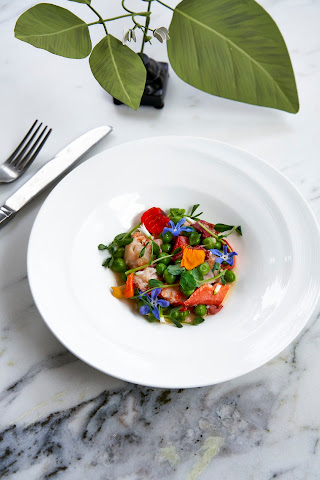 Belden House & Mews by null